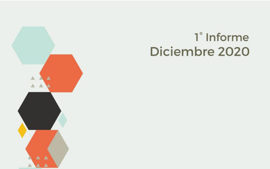 Políticas de subsidiariedad en contexto de crisis económica y pandemia en Argentina